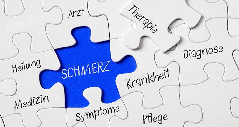 Expertenstandard: Schmerz - Schmerzmanagement in der Pflege bei akuten und chronischen Schmerzen 1 Expertenstandard: Schmerz - Schmerzmanagement in der Pflege bei akuten und chronischen Schmerzen 1