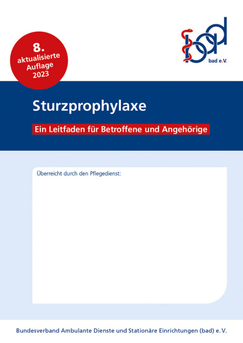 Sturzprophylaxe – ein Leitfaden für Betroffene und Angehörige 24