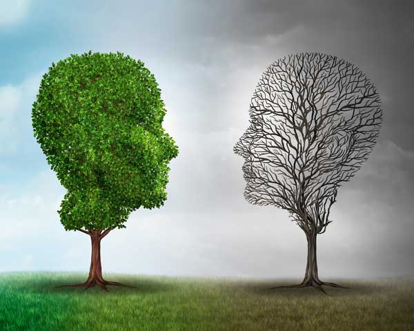 Psychische Erkrankungen – Pflege psychisch erkrankter Menschen – Weiterbildung bad e.V.